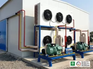 Cold Storage Mesin CDU Custom - Solusi Terbaik untuk Bisnis Anda